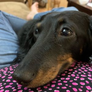 Meet your Posher, Denise